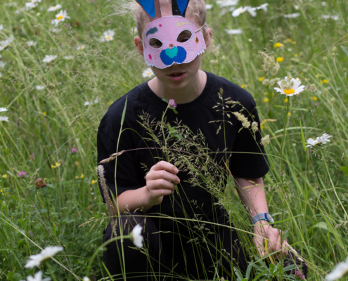 Hase